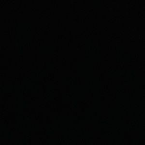 Meet your Posher, Ashlyn